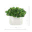 Arrangement succulent dans un vase en céramique