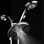Ultra-Luxury Handheld Shower Head 2.5 GPM GPM
