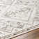 Chapotin Oriental Indoor Rug