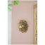 Plaque murale succulente D10x1,4 "