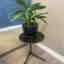 Customer photo 1 of 2