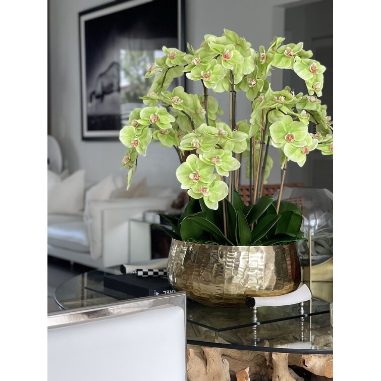 CFADesignGroup Orchids Centerpiece in Glass Planter & Reviews