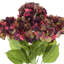 Fall Hydrangea Bouquet-52671677