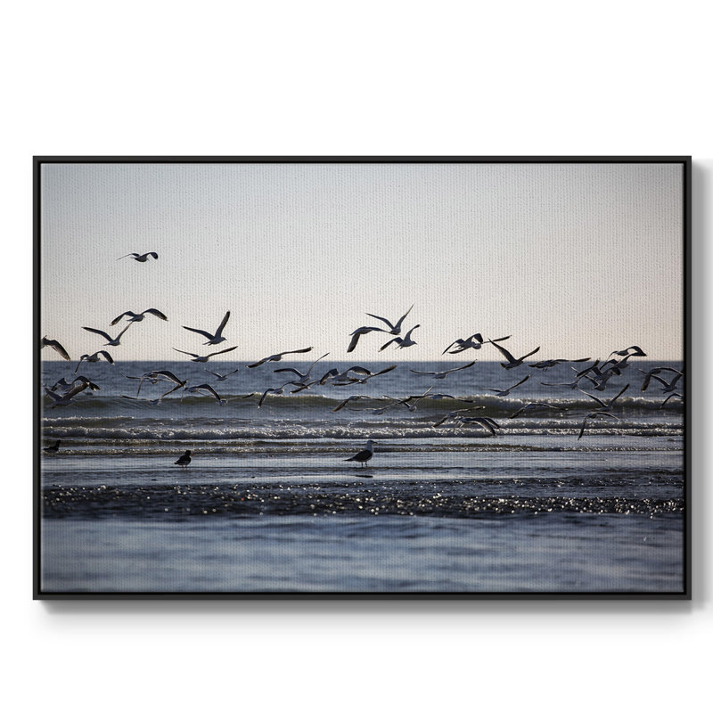 Vol de mouettes encadré sur toile, H 25 po x l 37 po x P 2 po, Noir