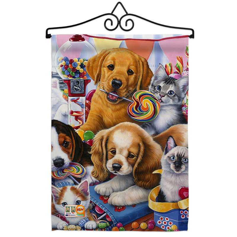 Coussin décoratif en polyester à 2 faces 19 x 13 po ensemble de drapeaux