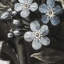 Floral Wallpaper-1585909230