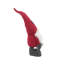 Gnome debout tenant un cadeau