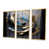 Gold Floater Framed