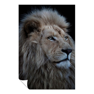 Proud King Lion Portrait - No Frame Print