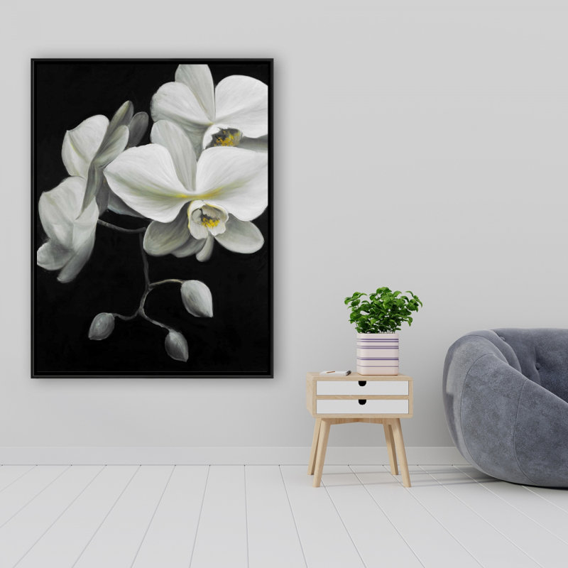 " White Orchids "