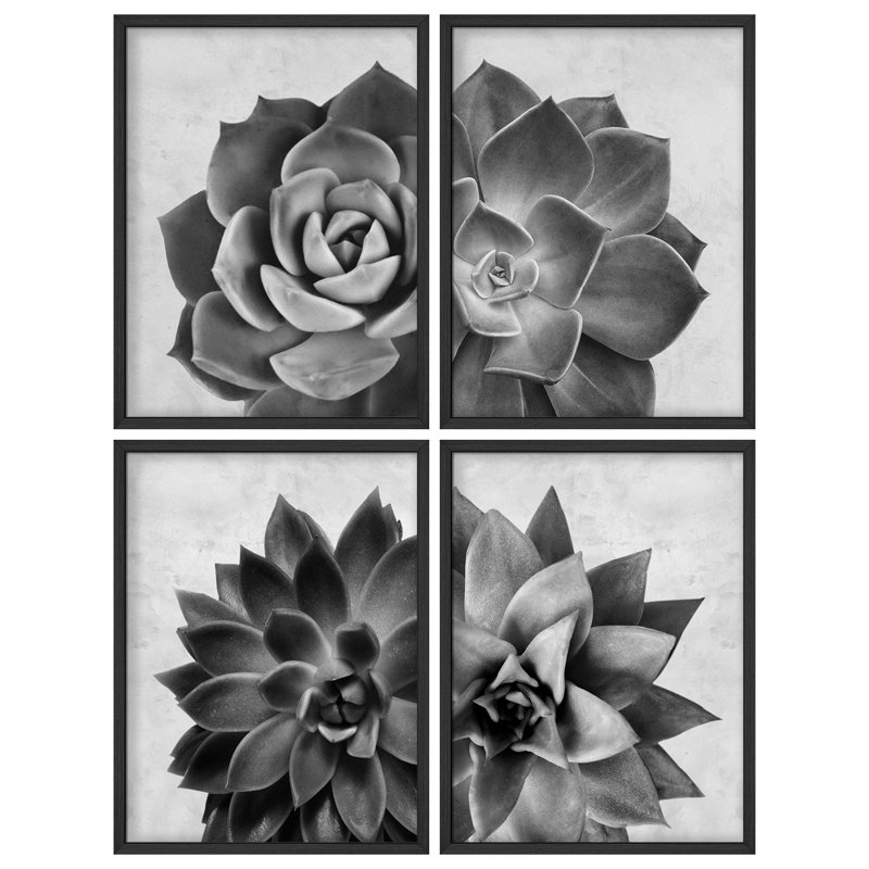 Succulent noir et blanc, œuvre d'art moderne, impression encadrée, affiche, petit art mural, Noir, noir, noir, noir