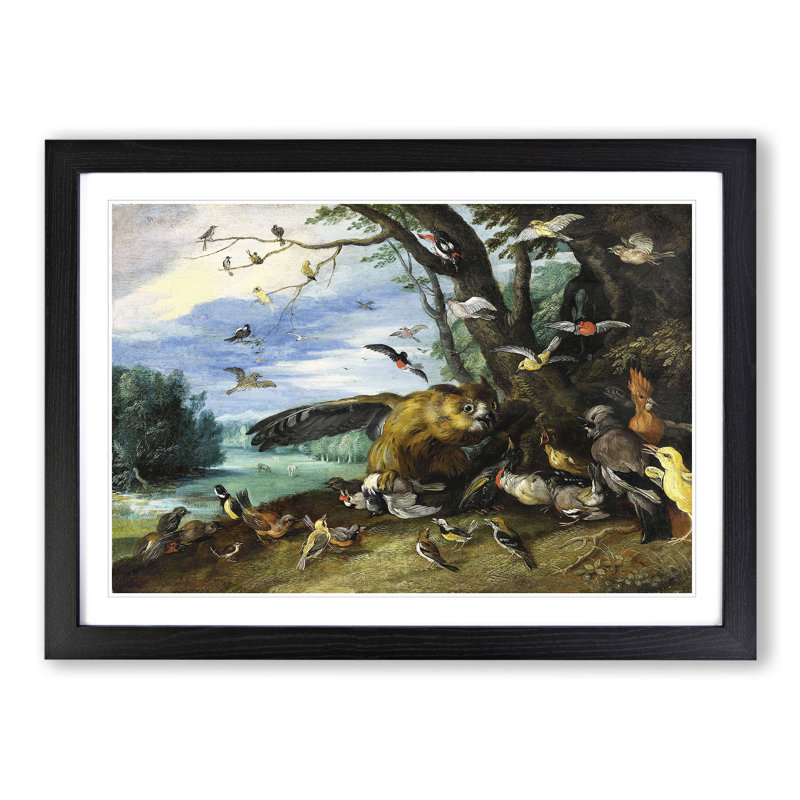 Fighting Birds by Jan Van Kessel - Picture Frame Painting, 27cm H x 36cm W x 2cm D, Black Framed