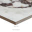 Tuile de sol et murale Ventara Amarith 24 po x 48 po, aspect pierre, en porcelaine polie-103691655