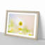Daisy Flower View in Abstract - Picture Frame Graphic Art Print-55679667-55679671