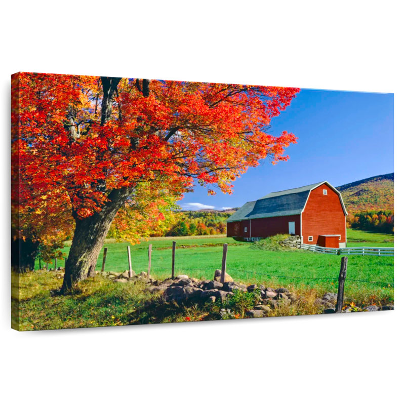 Alvord Sugar Maple Near Red Barn, 30" H x 45" W