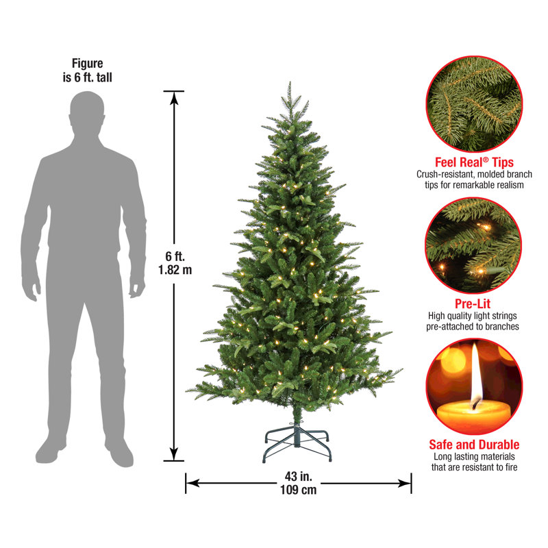 The Holiday Aisle® 6 ft. Pre-Lit Whatcom Pine Tree with LED Lights
