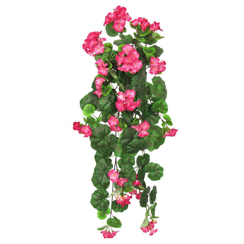 Buisson de géranium suspendu, Rose / vert