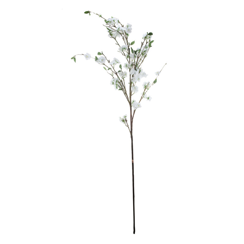 Arrangement