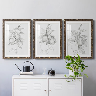 " Fruit-Bearing Branch I " 3 - Pieces Painting Print