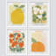 Sydney Orange Flower Poppies, impression sur papier 4 pièces-97782518-97782523