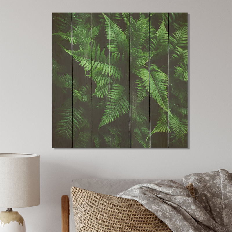 Green Fern Forest Beauty III - Ferns On Wood Print, 15" H x 15" W