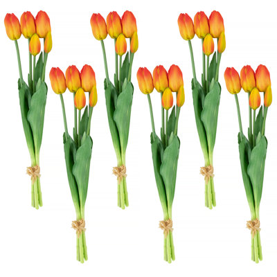 Tulip Arrangement