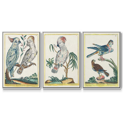 «Pastel Birds I», ensemble de 3 toiles encadrées