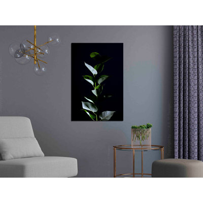 No Frame Print on Canvas