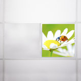 Flower Square Fixture Component Ceiling Light