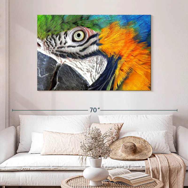 Brampt Macaw Eye, H 32 po x l 48 po