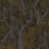 Brown/Gold