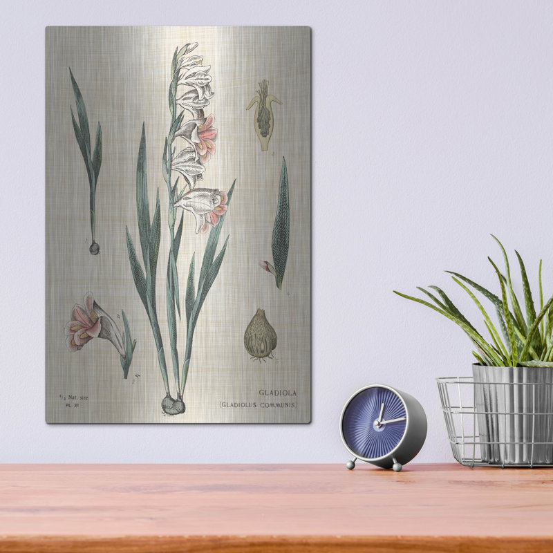 «Gladiola charte lin» par Sue Schlabach, art mural en métal, H 16 po x l 12 po