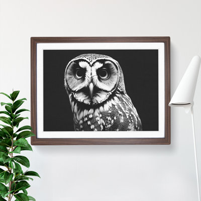 XH1022-6553X Owl Portrait Monochrome Vol.5 1 Piece Single Picture Frame Wall Art