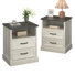 Farmhouse Nightstand With 2 Drawers, Wooden Bedside End Table Small Dresser For Bedroom, Living Room