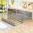Clyda Daybed with Twin Trundle and Fence Guardrails-970105895-970105893