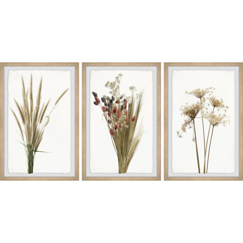Jaleyza Grasses And Flowers - 3 Piece Single Picture Frame Painting Set, 91cm H x 61cm W