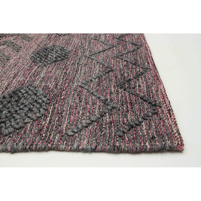 Delfa Performance Hand Braided Wool Rug