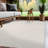 Indoor Outdoor Area Rug-295835145-295835150