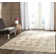 Oriental Hand Woven Area Rug