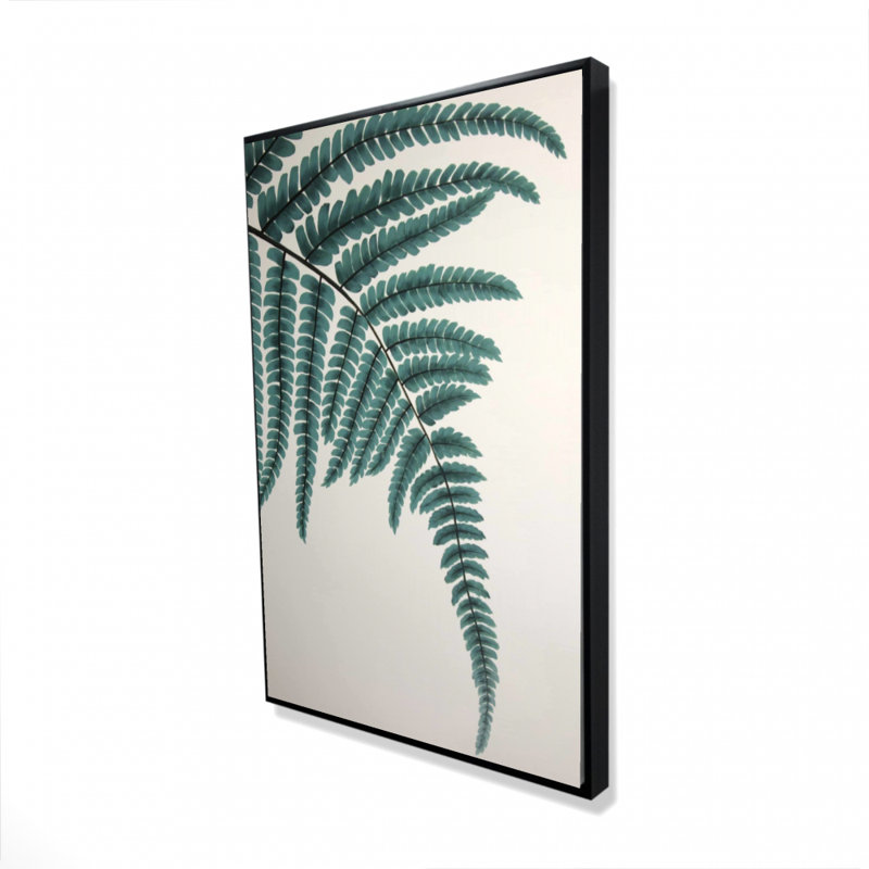 " Fern "