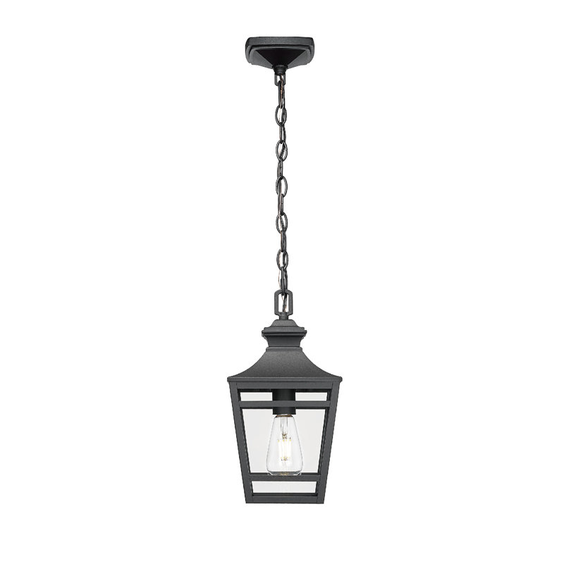 Duke Outdoor Pendant Light with Clear Glass & Metal Frame