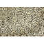 Cream Traditional 6X8 Indo Kerman Oriental Area Rug