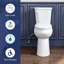 Toilette allongée deux pièces à hauteur de chaise 20,7 po, chasse simple 1,28 GPF, siège à fermeture en douceur, MaP 1000g-131241469
