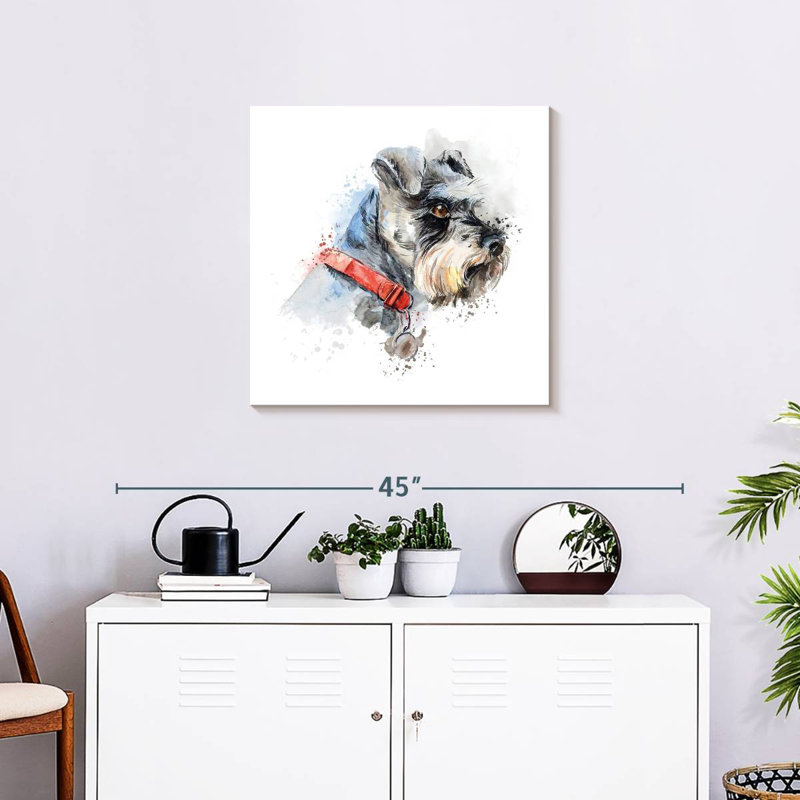 Crowle Schnauzer Splash