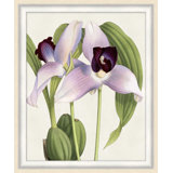 Orchid 4 Print