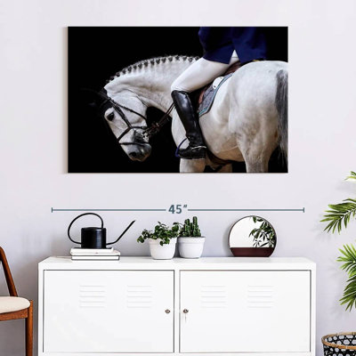 Sireci White Horse And Equestrian
