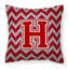 Housse et insert de coussin extérieur d'extérieur-1165616335-1165616332