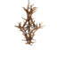Antlers 8 - Light Chandelier