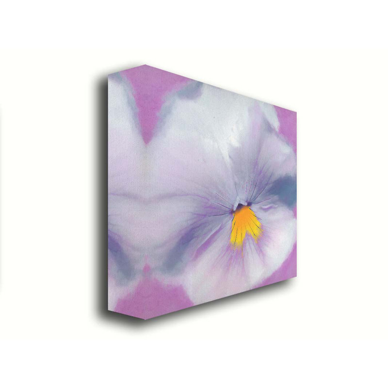 Pansy par Hal Halli. Estampe numérique, H 30 po x l 30 po, Toile tendue, Ne s’applique pas