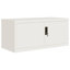 Storage Cabinet
